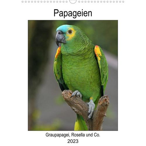 Papageien - Graupapagei, Rosella und Co. (Wandkalender 2023 DIN A3 hoch)