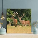Loon Peak® Five Deer w/ Horns Resting On Dry Field - 1 Piece Square Graphic Art Print On Wrapped Canvas in Brown | 32 H x 32 W x 2 D in | Wayfair