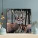 Loon Peak® A Deer In Close-Up - 1 Piece Square Graphic Art Print On Wrapped Canvas Metal in Brown/Gray/Green | 32 H x 32 W x 2 D in | Wayfair