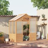 Outsunny 6' x 4' x 7' Polycarbonate Greenhouse, Walk-in Wooden Green House, Outdoor Hobby Greenhouse with Door