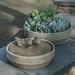 Winston Porter Chrisalyn Concrete Beveled Songbird Fountain | 6.5 H x 14 W x 14 D in | Wayfair FE22DF714B33470DBBA9E3764AA216E3