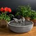 Winston Porter Chrisalyn Concrete Songbird Fountain | 6.5 H x 14.25 W x 14.25 D in | Wayfair 2C9A2AAA428140FE84B1DDDE28E341A7