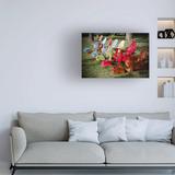 Latitude Run® by Susan Vizvary Photography - Wrapped Canvas Photograph Canvas, Cotton in White | 30 H x 47 W x 2 D in | Wayfair