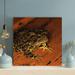 Latitude Run® Black & Brown Frog On Brown - 1 Piece Square Graphic Art Print On Wrapped Canvas in Black/Brown/Yellow | Wayfair