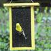 Birds Choice Solutions Recycled Tall Nyjer/Thistle Feeder Plastic in Yellow | 11 H x 3 W x 8 D in | Wayfair BCTF