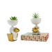 Trinx Blaha 2 Piece Resin Statue Planter Set Resin/Plastic | 7.1 H x 4 W x 3.6 D in | Wayfair 13FB1F5A95074B11974F734EB61B0225