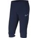 NIKE Unisex Kids Academy 21 3/4 Knit (Youth) Track Pants, Obsidian, White, White, 13-15 Years UK