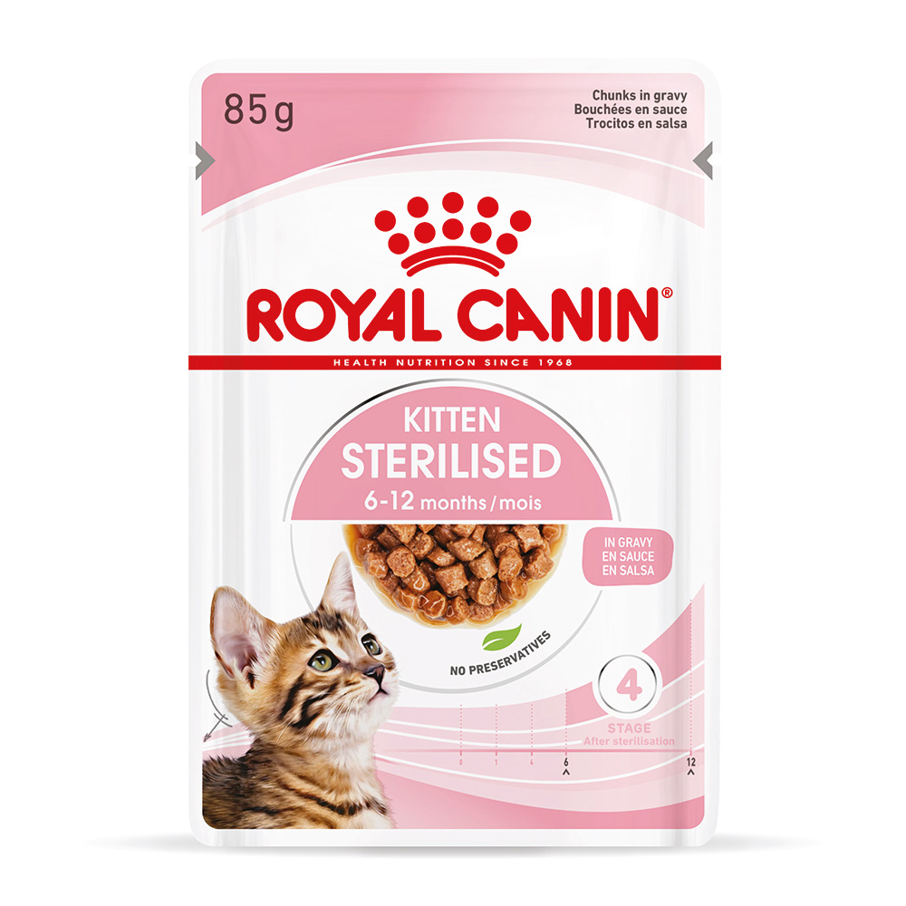 Royal Canin Kitten Sterilised umido in Salsa per gatti - Set %: 48 x 85 g