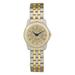 Women's Silver/Gold Hartwick College Hawks Two-Tone Wristwatch