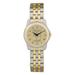 Women's Silver/Gold Spring Hill Badgers Two-Tone Wristwatch