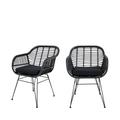 Lot de 2 fauteuils indoor/outdoor aspect rotin et métal avec coussin n