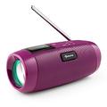 Auna Portable DAB Radio with Bluetooth and Rechargeable Battery, DAB/DAB+/FM Small Digital Radio, Bluetooth Stereo Speakers UK, Mini LCD Display Work Internet Radio, Personal DAB Radio Mains Powered