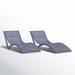 AllModern Farrah 75.6" Long Single Chaise Plastic in Gray | 28.5 H x 28 W x 75 D in | Outdoor Furniture | Wayfair 8EFDE18F616042FCBFC3D3BD6777A47C