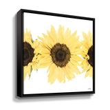 Rosalind Wheeler Sunflowers In A Row I Gallery Wrapped Canvas in Yellow | 14 H x 14 W x 2 D in | Wayfair 5B7D4A793DFB4D1BAD77B13E8AEC75E7