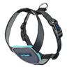 CarSafe Pettorina per cani, nera - M: 62 - 74 cm circ. torace