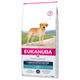 2x12kg Labrador Retriever Adult Breed Specific Eukanuba Dry Dog Food