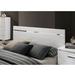 Orren Ellis Torren Low Profile Platform Bed Metal in Black/Brown | 40 H x 63.4 W x 83.8 D in | Wayfair 92865C5F74B14A1DBAE135737BB9192D