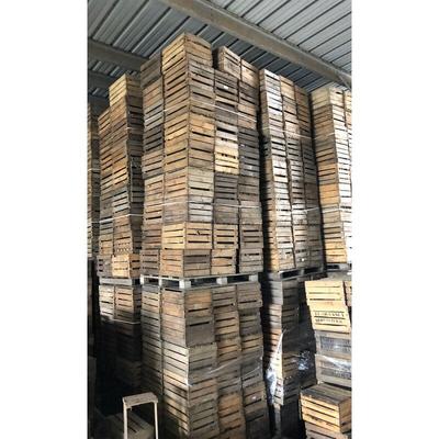 12x Massive Obstkisten 2te Wahl Holzkisten Weinkisten Regalkisten Gartendeko Hochbeet Beetkiste Image