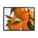Stupell Industries Traditional Tabletop Oranges Still Life Realistic Painting Oversized Wall Plaque Art By Victoria Barnes in Brown | Wayfair