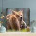 Loon Peak® Brown Fox On Brown Tree Branch During Daytime 1 - 1 Piece Square Graphic Art Print On Wrapped Canvas in Black/Brown | Wayfair