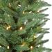 9-Ft. Winter Falls Slim-Silhouette Christmas Tree with 8-Function Warm White LED Lighting and EZ Connect - Fraser Hill Farm FFWF090-5GR