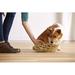 Nina Ottosson by Outward Hound Dog Hide N' Slide Interactive Treat Puzzle Dog Toy Plastic (affordable option) | 2 H x 11.6 W x 11.6 D in | Wayfair