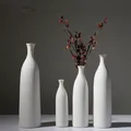 Vases blancs purs de bouteille classique pot en céramique de vaso naturel simple décoration