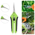 Sécateur de jardinage en acier inoxydable outils de jardin cueillette de fruits cueillette de