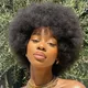 Perruques afro bouclées crépues noires naturelles pour femmes noires perruque afro moelleuse