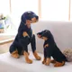 Chien Rottweiler en peluche vekelike pour enfants chien de l'armée de simulation jouets mignons