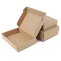 Boîte avion en carton kraft pour transport de vêtements emballage ondulé petit carton 5 pièces
