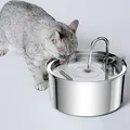 Fontaine à Eau existent en Acier Inoxydable pour Chat Distributeur Ultra Silencieux pour Plusieurs