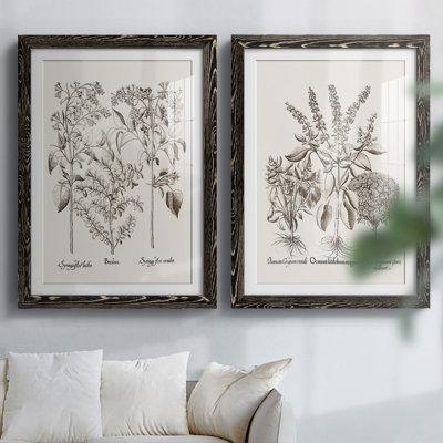 Red Barrel Studio® Sepia Besler Botanicals I-Premium Framed Print - Ready To Hang Canvas, in Blue/Green/Red | 27.5 H x 75 W x 1.5 D in | Wayfair