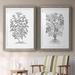 Gracie Oaks B&W Plant Specimen I-Premium Framed Print - Ready To Hang Canvas, Solid Wood in Brown/Gray/White | 31.5 H x 88 W x 1.5 D in | Wayfair