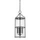 Troy Lighting 4 -Bulb 24.25" H Outdoor Hanging Lantern Glass/Aluminium/Metal/Steel in Black | 24.25 H x 10 W x 10 D in | Wayfair F1310-TBK