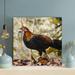 Gracie Oaks Blue Red & Black Rooster On Brown Dried Leaves During Daytime - 1 Piece Square Graphic Art Print On Wrapped Canvas Canvas | Wayfair