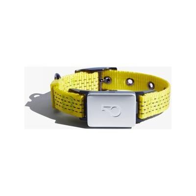 Whistle Switch Smart Waterproof Cat & Dog Collar Kit, Yellow, X-Small/Small