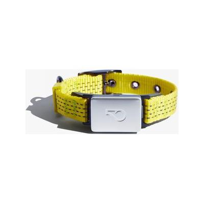 Whistle Switch Smart Waterproof Cat & Dog Collar Kit, Yellow, X-Small/Small