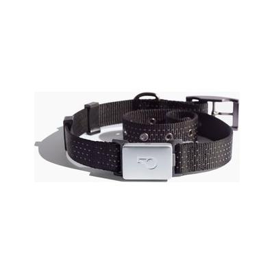 Whistle Switch Smart Waterproof Cat & Dog Collar Kit, Black, Medium/Large