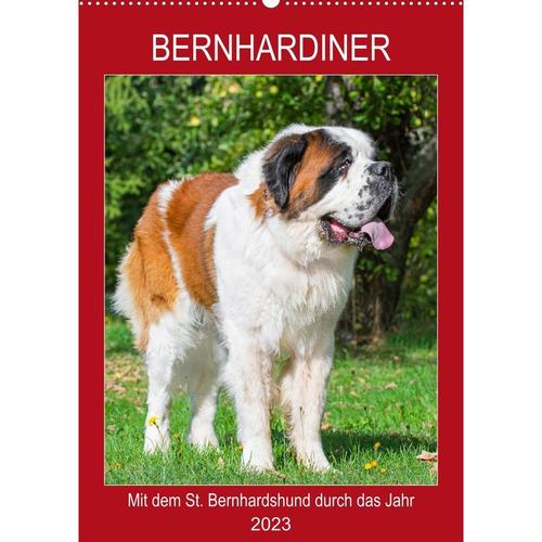Bernhardiner - Mit dem St. Bernhardshund durch das Jahr (Wandkalender 2023 DIN A2 hoch)