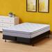 Queen 20" Hybrid Mattress - The Twillery Co.® Laird 12-Inch Ultra Plush Euro Top Single Sided w/ Box Spring/Foundation | 80 H x 60 W 20 D in Wayfair