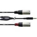 Cordial - Câble adaptateur audio [1x Jack mâle 3.5 mm - 2x xlr mâle] cfy 1.8 wmm noir 1.80 m - noir