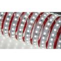 Nobile Illuminazione - 5 metri di striscia led 13w/m 6000k 50101/f