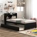 Twin Size Modern Kids Bed with Trundle and Bookcase