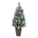 3.5' Frosted Artificial Christmas Tree with 50 Lights in Planter