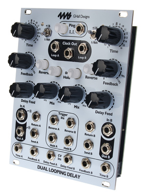 4ms Dual Looping Delay