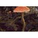 Gracie Oaks Forest Floor I Canvas in Green | 12 H x 18 W x 1.25 D in | Wayfair 8A4EC4C15E5040DEAC7A9D2A35842F20