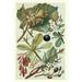 Rosalind Wheeler Fruits & Foliage V Canvas | 18 H x 12 W x 1.25 D in | Wayfair A1FFFE48158D4D2C80CD24473A270B98