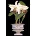 Rosdorf Park Small Orchids In Silver (IP) II Canvas | 30 H x 20 W x 1.25 D in | Wayfair F52799D060614ABBAF6379468BE73690