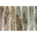 Orren Ellis Live Edge II Canvas | 8 H x 12 W x 1.25 D in | Wayfair 1CF1060AD4FD4449BA63060FA7F10102